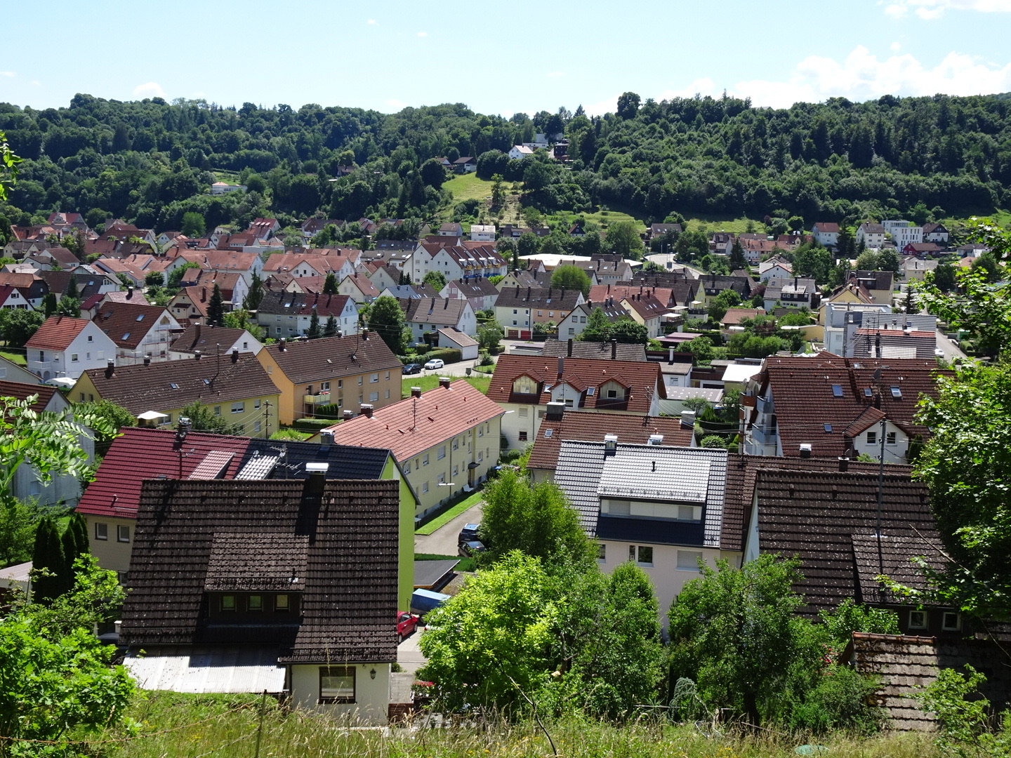 Gründungsgeschichte